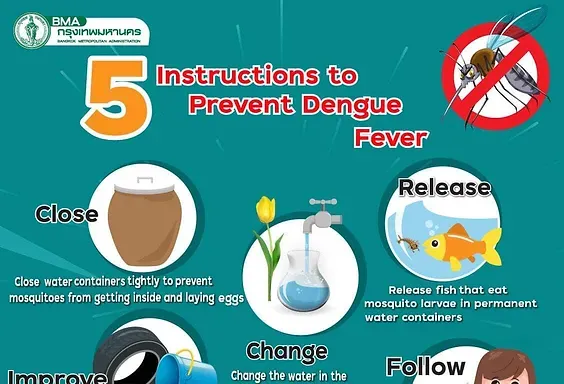 5 instruction to prevent Dengue Fever